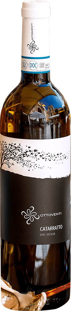 2024 Catarratto Sicilia DOC BIO
