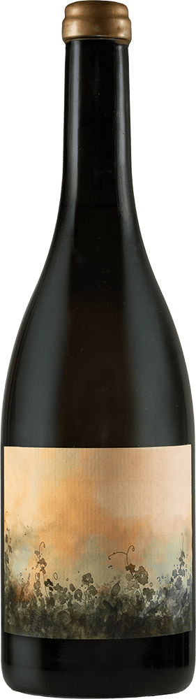 2024 Petricore Marche IGP BIO