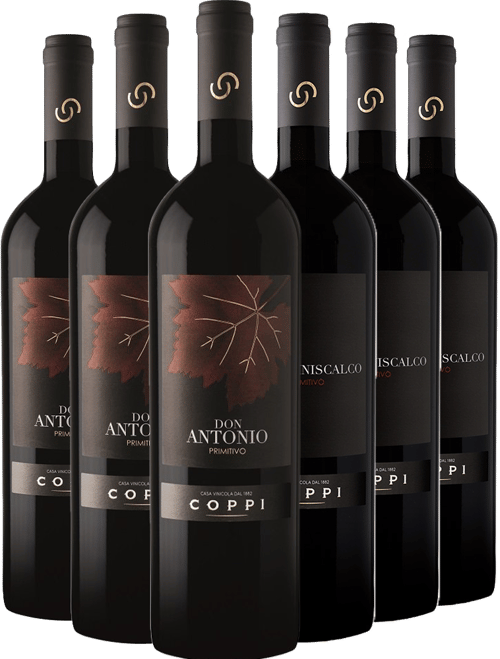 Cantina Coppi Box Degustazione Primitivo