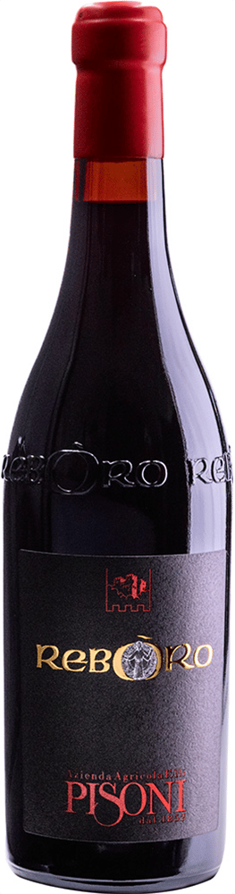 2021 Reboro Vigneti delle Dolomiti IGP BIO