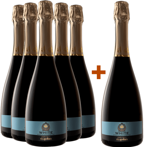 5+1 Spumante White