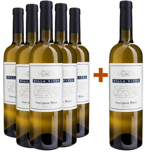 5+1 Sauvignon Friuli DOC