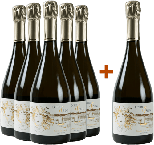 5+1 "Loire & Sens" Crémant de Loire AOP
