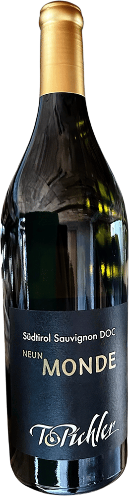 2023 Neun Monde Sauvignon Südtirol DOC
