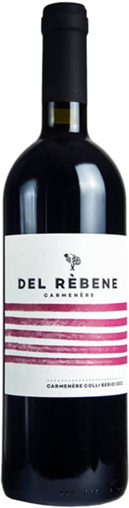 2019 Carmenere Colli Berici DOC