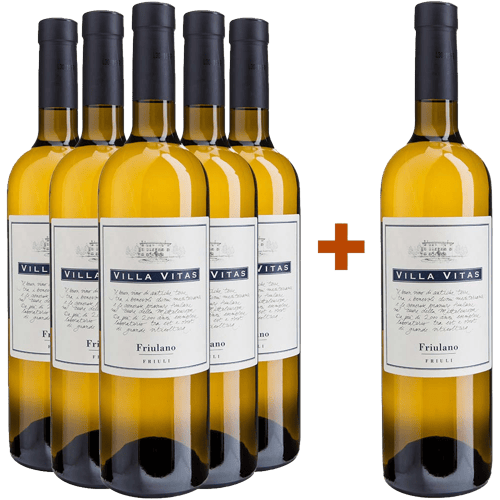 5+1 Friulano Friuli DOC