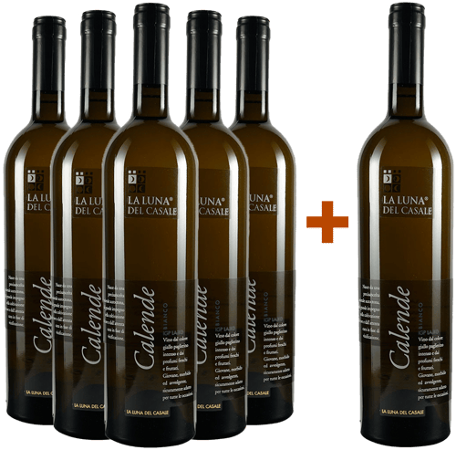 5+1 Calende Bianco Lazio IGP BIO