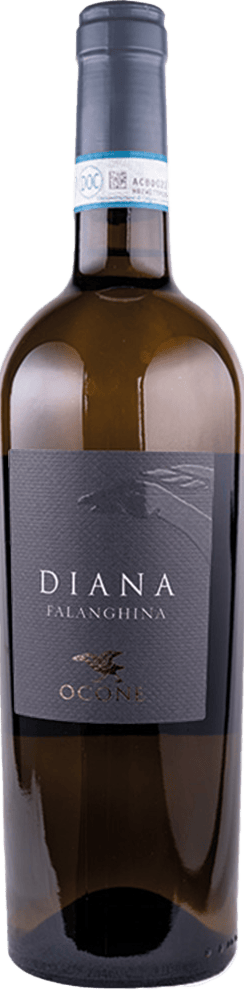 2024 Diana Falanghina Sannio DOC