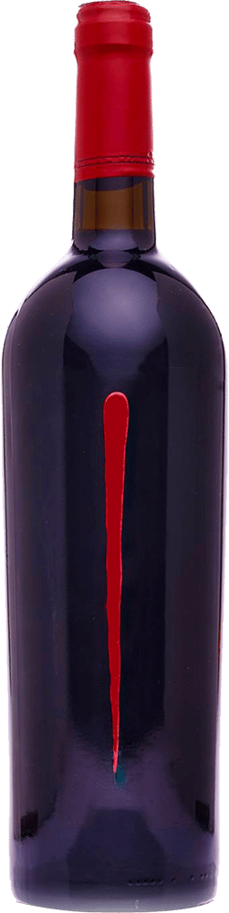 2022 Demonio Provincia Di Pavia IGP BIO