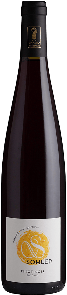 2024 Pinot Noir Alsace AOP BIO