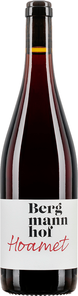 2022 Hoamet Vernatsch Mitterberg IGP