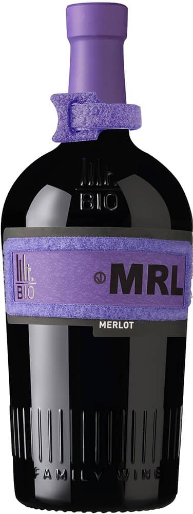 2023 Merlot Friuli DOC BIO