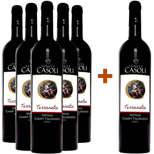 5+1 Terranatia Irpinia Campi Taurasini DOC