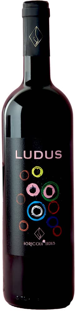 2022 Ludus Rosso Toscana IGP