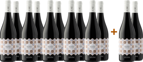 10+2 Maioliche Primitivo Puglia IGP BIO