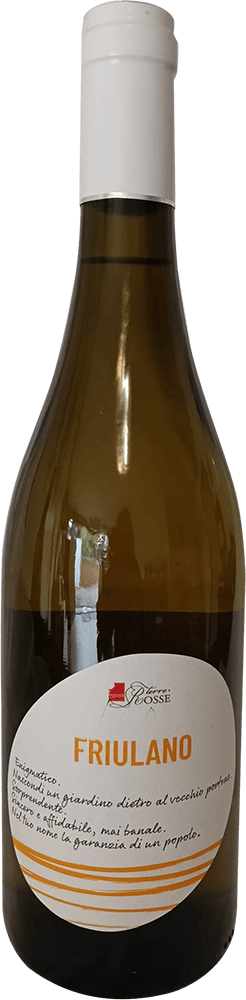 2024 Friulano Friuli DOC