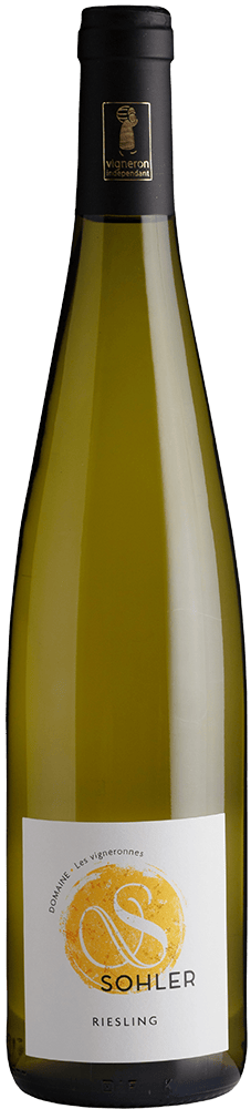 2024 Riesling Alsace AOP BIO