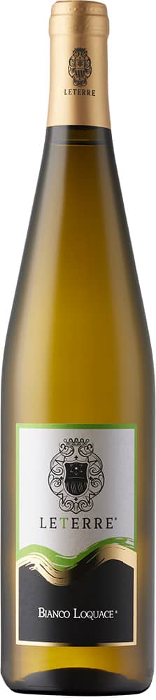 2023 Bianco Loquace Bianco Veneto IGP