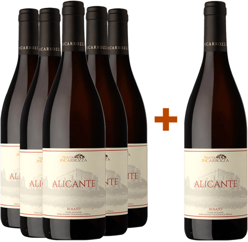 5+1 Alicante Rosato Terre Siciliane IGP