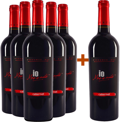 5+1 Cabernet Sauvignon Breganze DOC