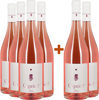  4+2 Marguerite Rosè Campania IGP