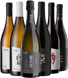 Avide - Vigneti & Cantine Box Degustazione