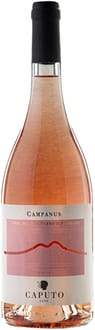 2021 Campanus Terre del Volturno Rosato IGP