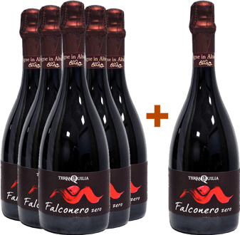 5+1 Falconero Zero Lambrusco dell' Emilia IGP BIO BIO