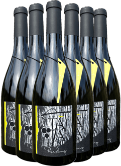 Box Promozionale Riesling Oltrepò Pavese DOC 