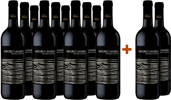 10+2 Negroamaro del Salento IGP