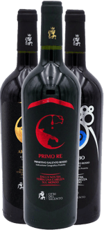 Primitivo Box Premium