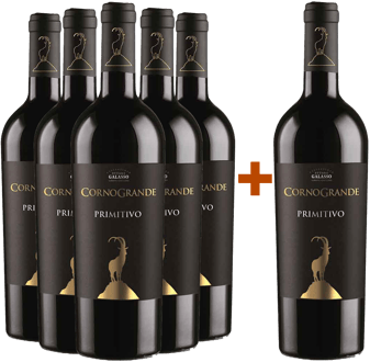 5+1 Corno Grande Primitivo Colli Pescaresi IGP