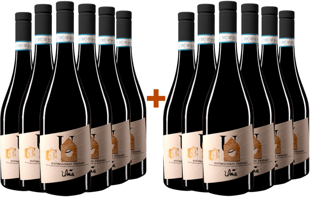 6+6 Montepulciano DOC BIO