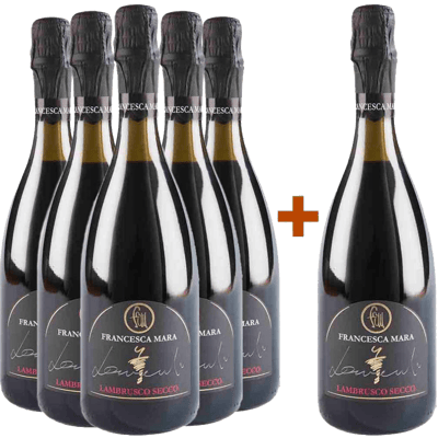 5+1 Lambrusco Reggiano DOC