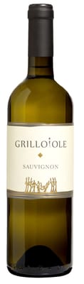 2023 Sauvignon Friuli Colli Orientali DOC