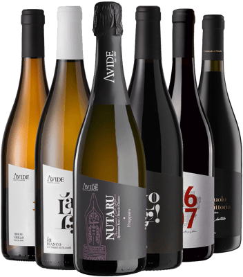 Avide - Vigneti & Cantine Box Degustazione