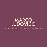 Marco Ludovico