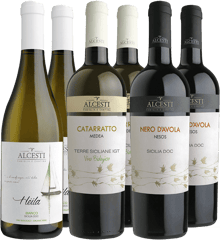 Il Rinascimento dei vini siciliani