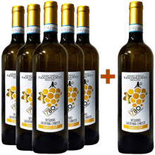 Dalle pendici del Vesuvio un vino unico nel suo genere