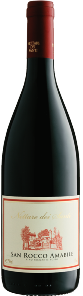 2025 San Rocco 2025 San Rocco