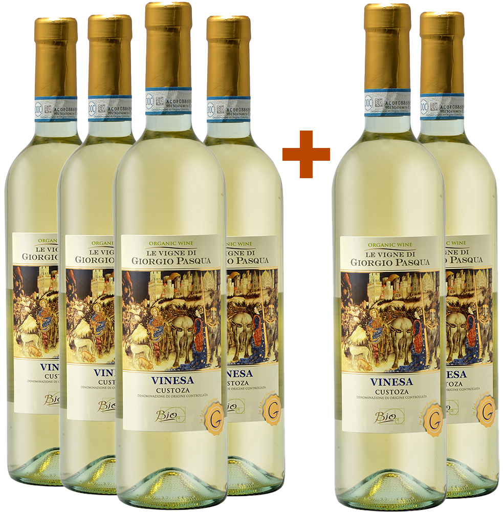 4+2 2022 Vinesa Custoza DOC BIO 4+2 2022 Vinesa Custoza DOC BIO
