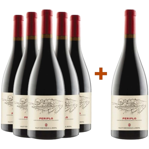 5+1 Periplo Marche IGP 5+1 Periplo Marche IGP