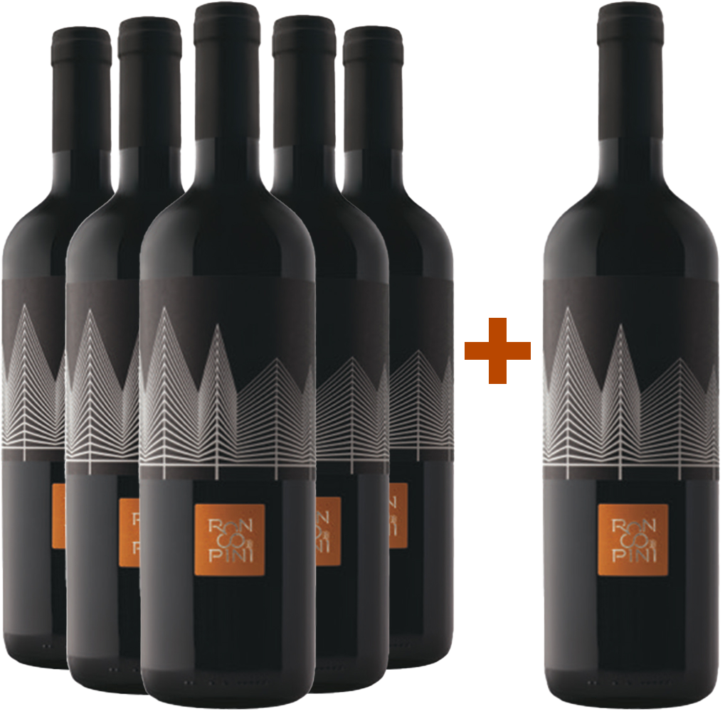 5+1 Sauvignon Friuli Colli Orientali DOC-Paket
