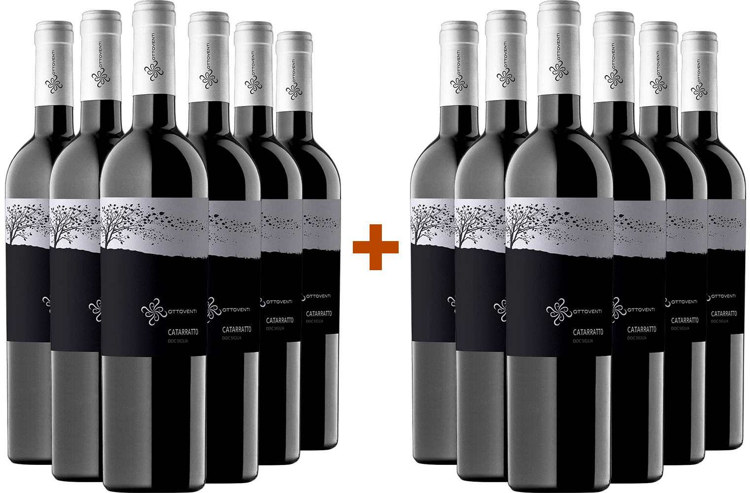 6+6 Catarratto Sicilia DOC BIO 6+6 Catarratto Sicilia DOC BIO