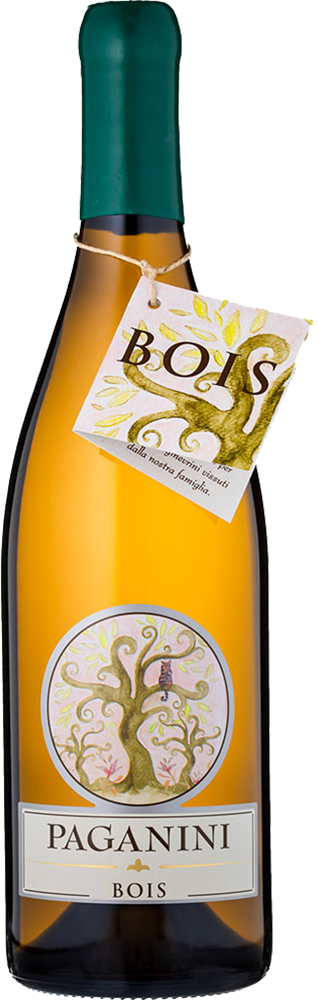 2021 Bois Vino Colli Piacentini DOC BIO 2021 Bois Vino Colli Piacentini DOC BIO