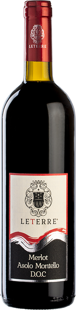 2021 Merlot Asolo Montello DOC