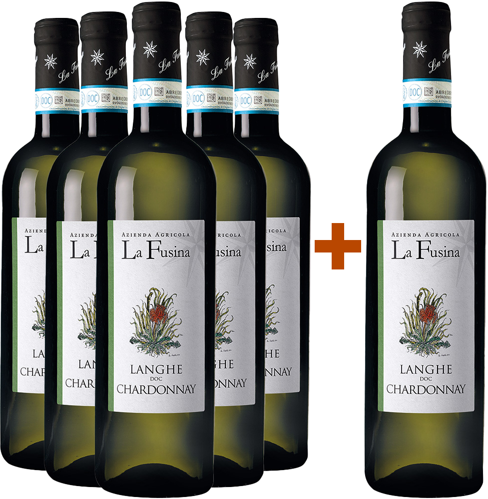 5+1 Chardonnay Langhe DOC