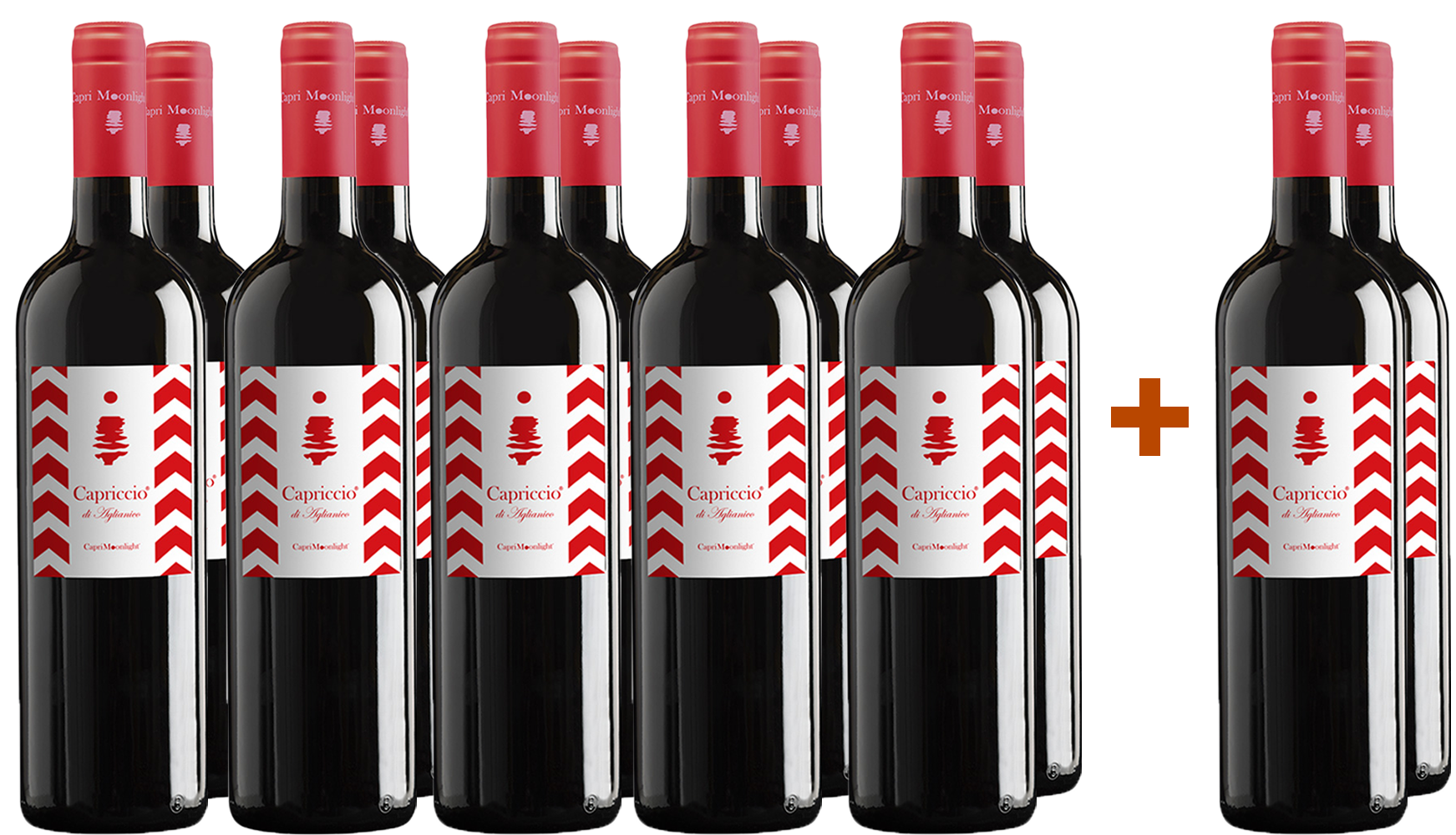 10+2 Capriccio di Aglianico Campania IGP 10+2 Capriccio di Aglianico Campania IGP