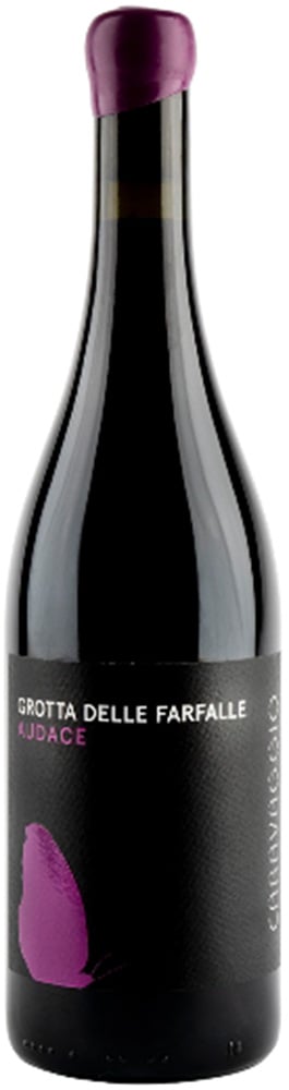 Audace Terre di Chieti IGP Audace Terre di Chieti IGP