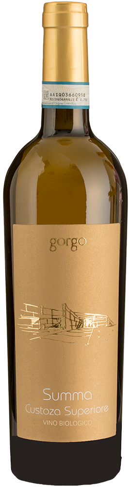2023 Summa Custoza Superiore DOC BIO 2023 Summa Custoza Superiore DOC BIO
